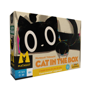 Cat in the box