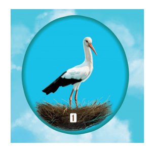 Droomhuis promo: Ooievaar Droomhuis promo: Ooievaar